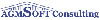 logotipo AGMSOFT CONSULTING S.L.